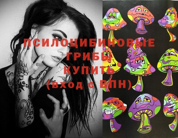 стафф Абинск