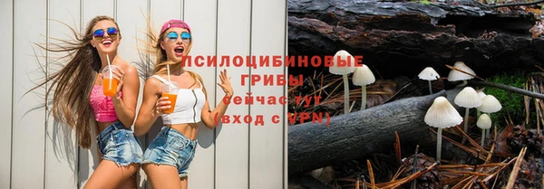 крисы Абаза