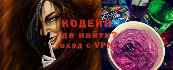 крисы Абаза