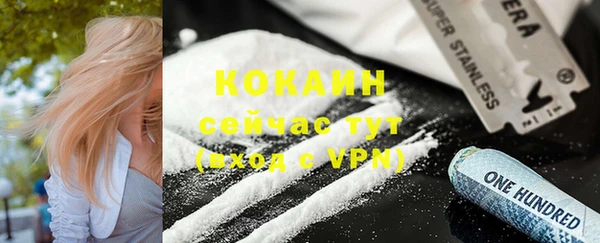 крисы Абаза