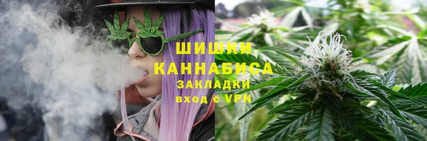 крисы Абаза