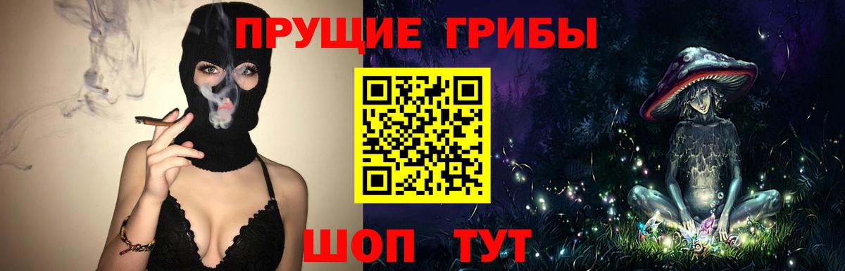 Киров  как найти   Вход с VPN  Галлюциногенные грибы Cubensis  Псилоцибиновые грибы ЛСД 